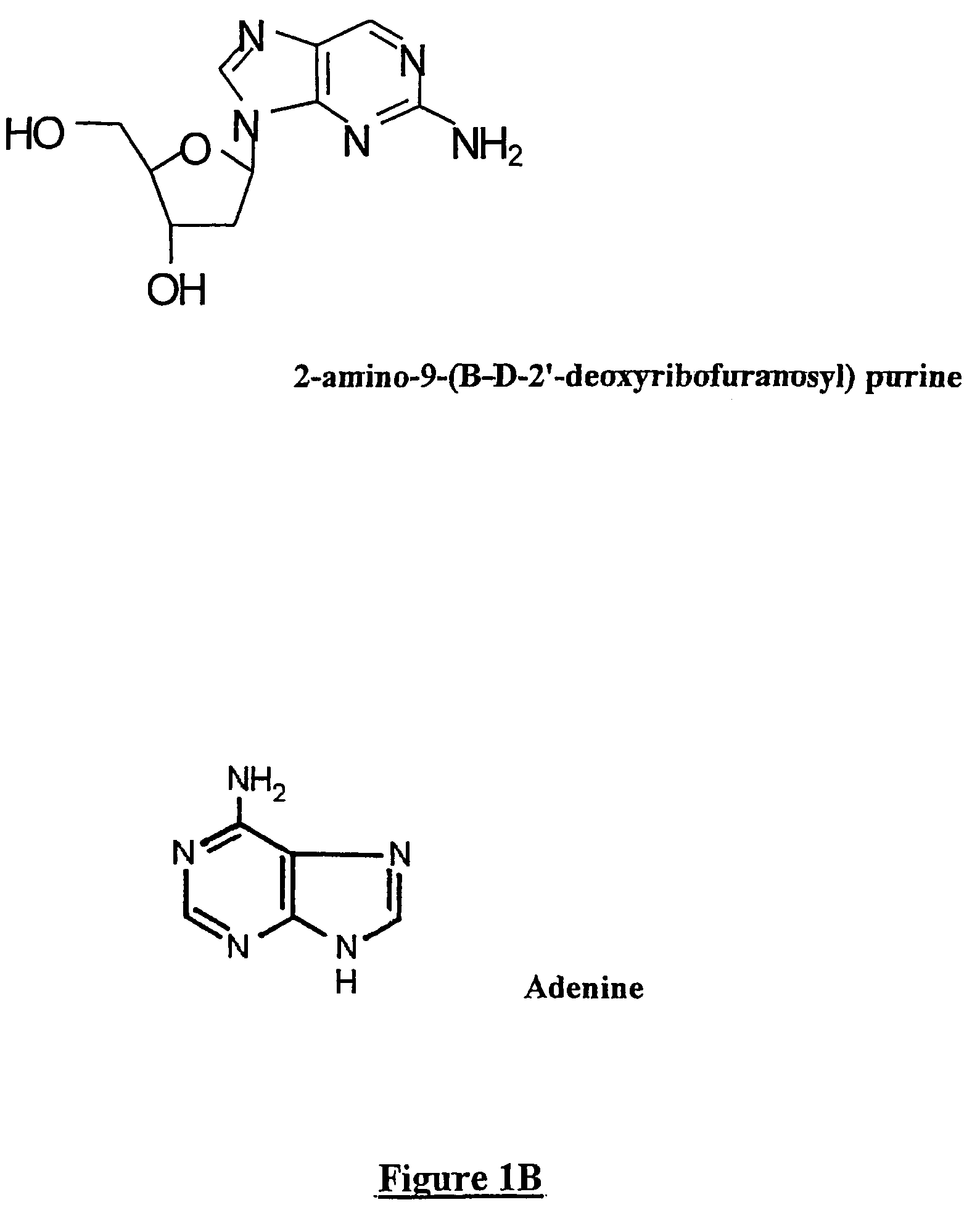 Methods for increasing in vivo efficacy of oligonucleotides and inhibiting inflammation in mammals