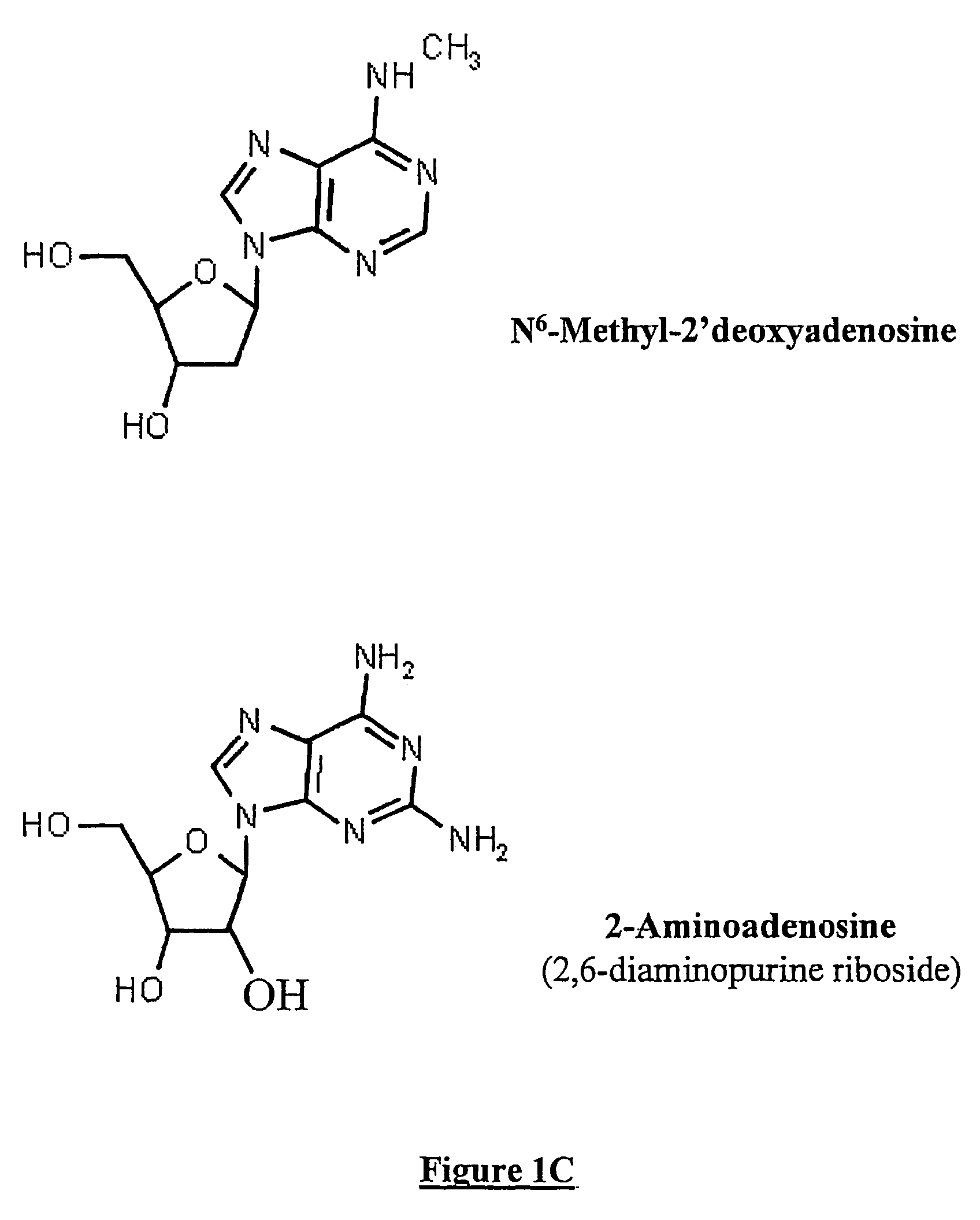 Methods for increasing in vivo efficacy of oligonucleotides and inhibiting inflammation in mammals