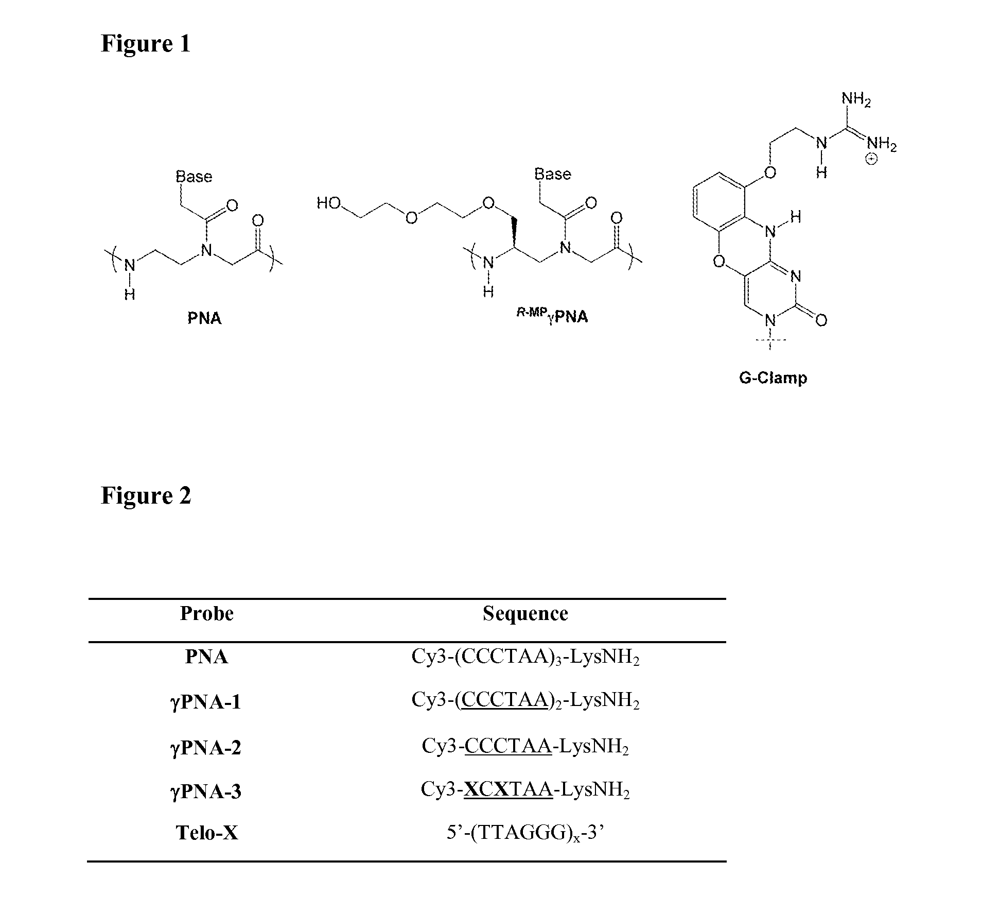 Gamma-pna miniprobes for fluorescent labeling