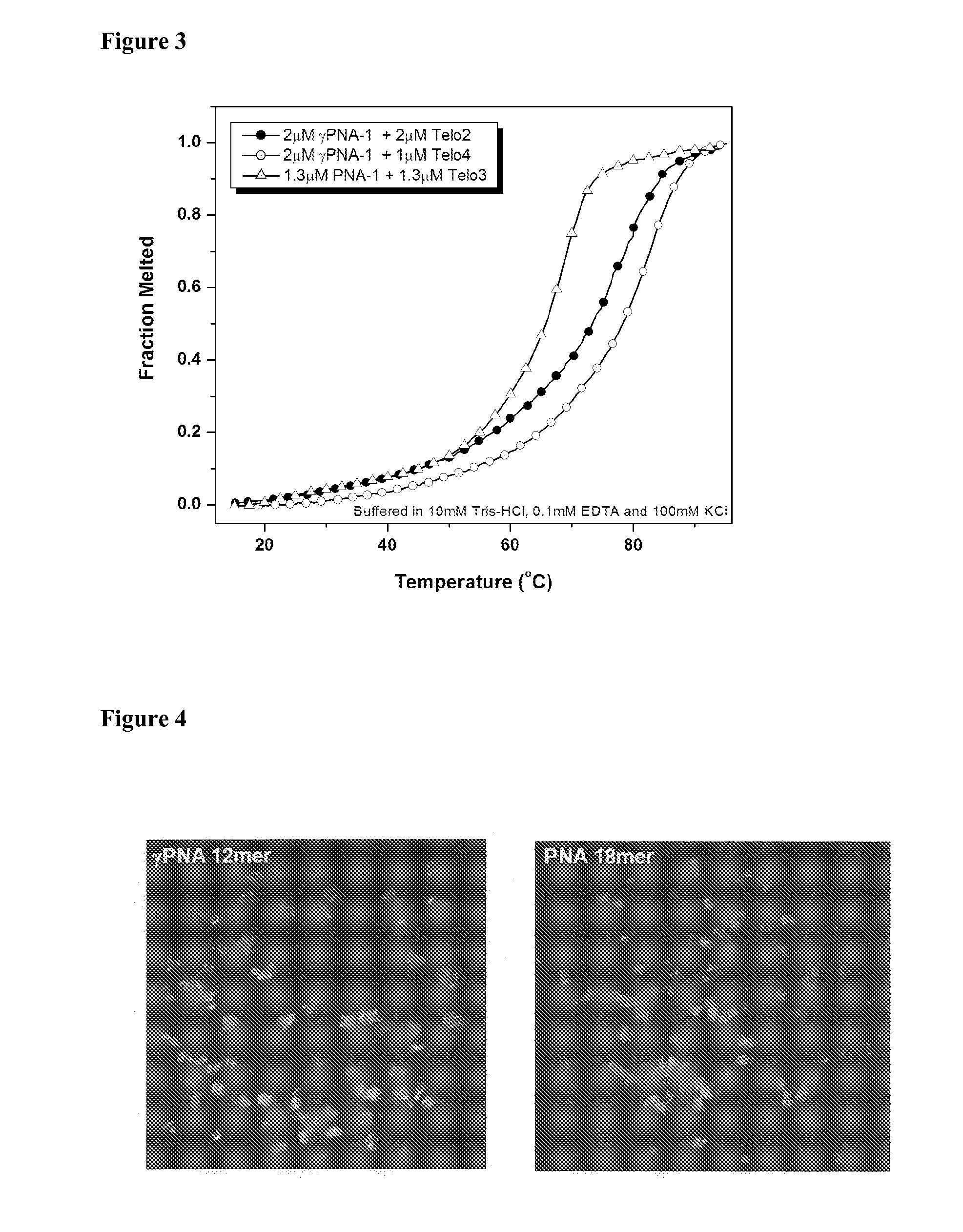 Gamma-pna miniprobes for fluorescent labeling