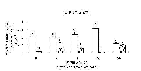 Method for inhibiting growth of lawn weeds in planting lawn