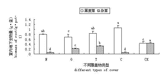 Method for inhibiting growth of lawn weeds in planting lawn