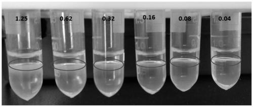 Preparation method and applications of support-free Janus monomolecular layer protein membrane material with adjustable membrane flux