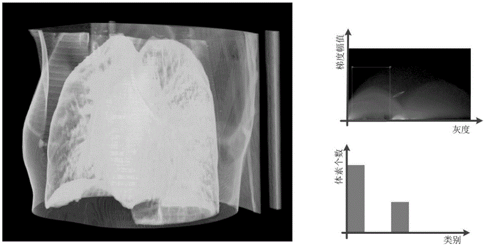 Volume Data Recognition Method Based on Two-Dimensional Transfer Function Based on Watershed Algorithm