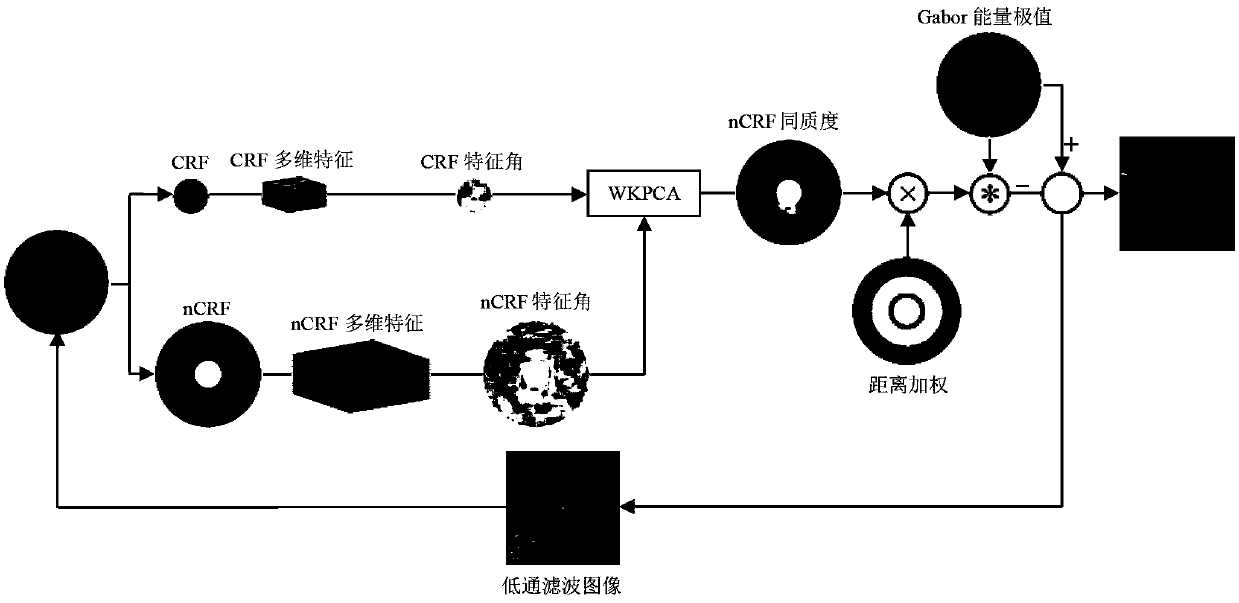 A WKPCA homogeneity-corrected NCRF-suppressed salient contour extraction method for low-light images