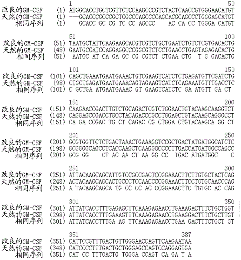 Compound containing immunoglobulin fc fragment and granulocyte-macrophage colony-stimulating factor and pharmaceutical composition thereof