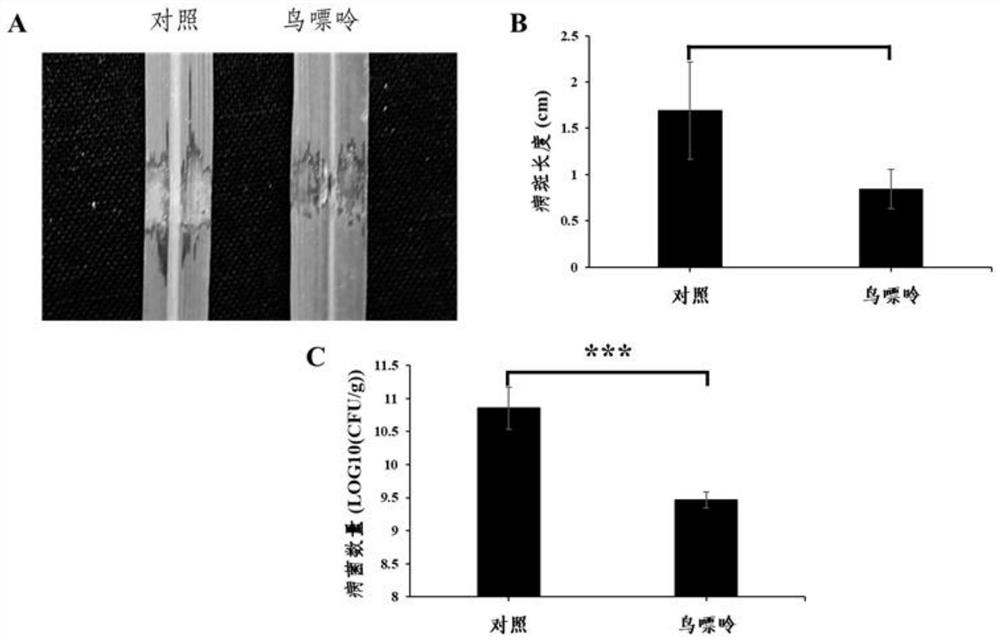 A purine base plant immune inducer and its application