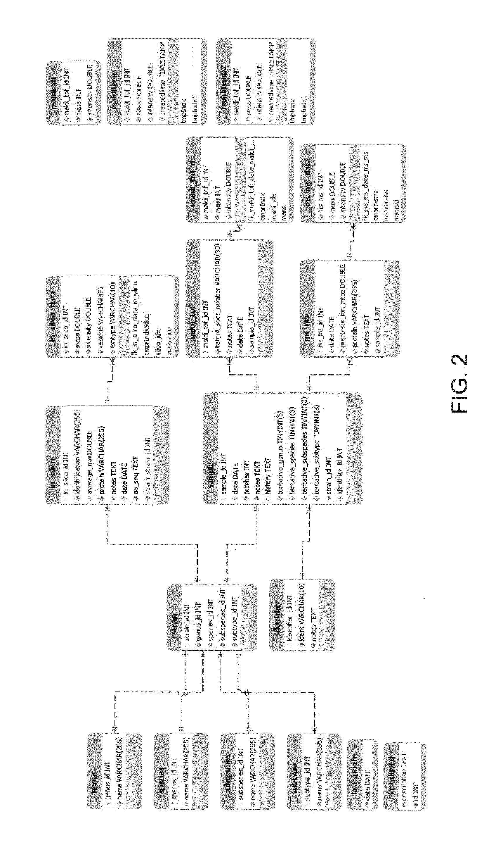 Rapid identification of proteins and their corresponding source organisms by gas phase fragmentation and identification of protein biomarkers