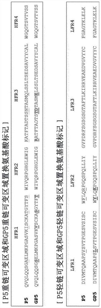 Anti-beta 1 integrin humanized antibody, and pharmaceutical composition for treating cancer, comprising same