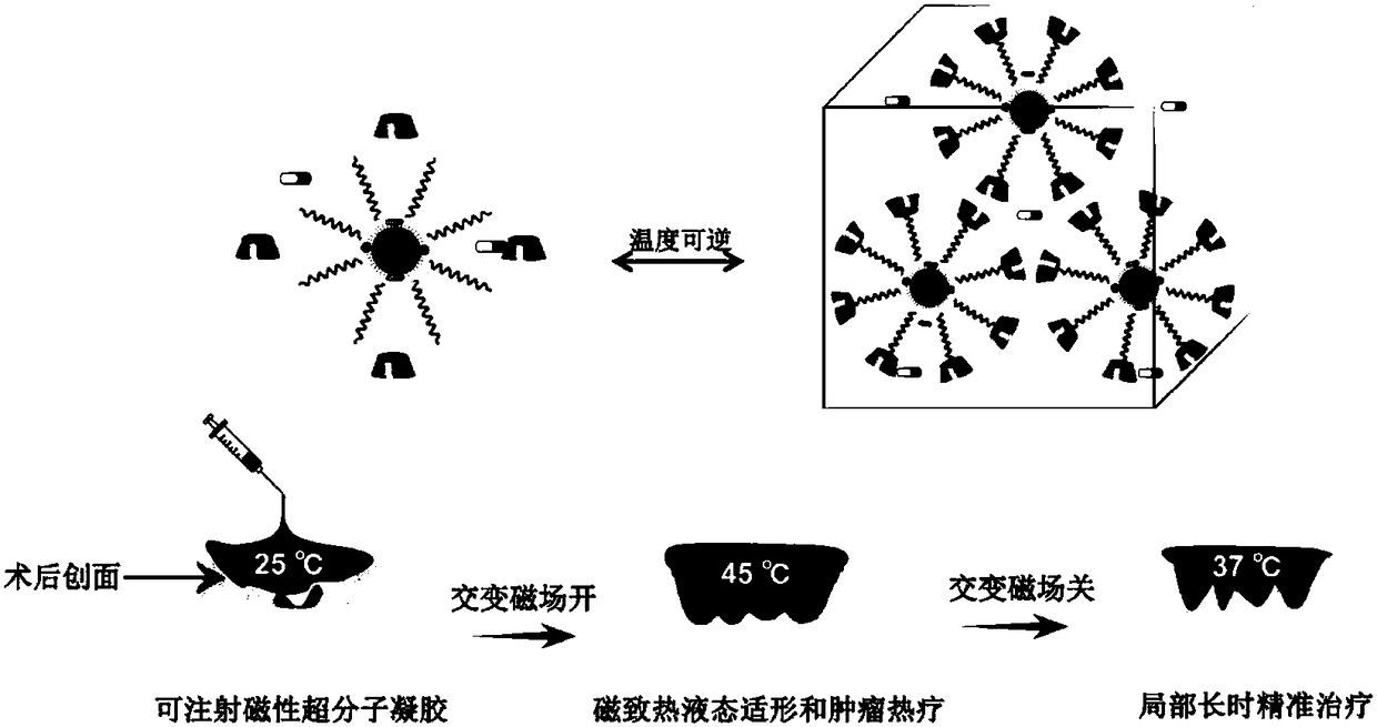 Preparation and application method for injectable temperature-sensitive magnetic supramolecular gel