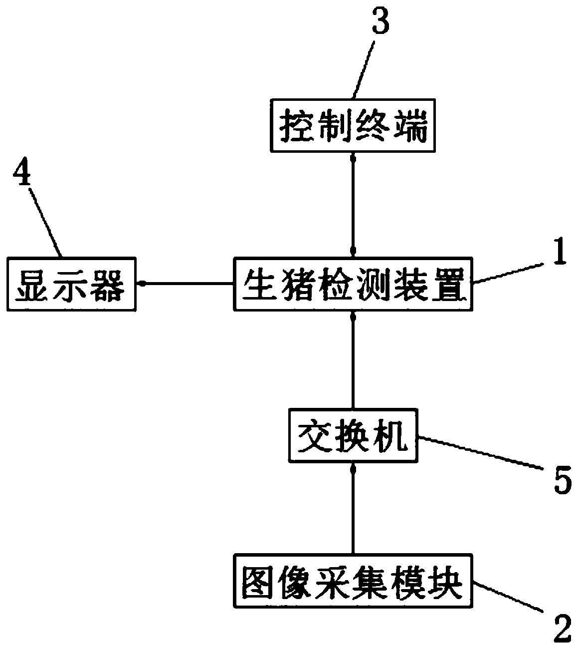 Live pig detection system and counting and detection methods