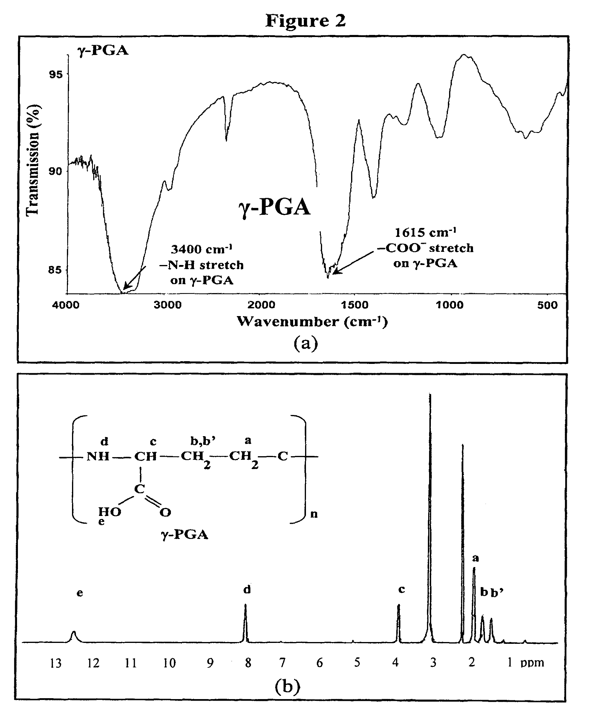 Pharmaceutical composition of nanoparticles for protein drug delivery