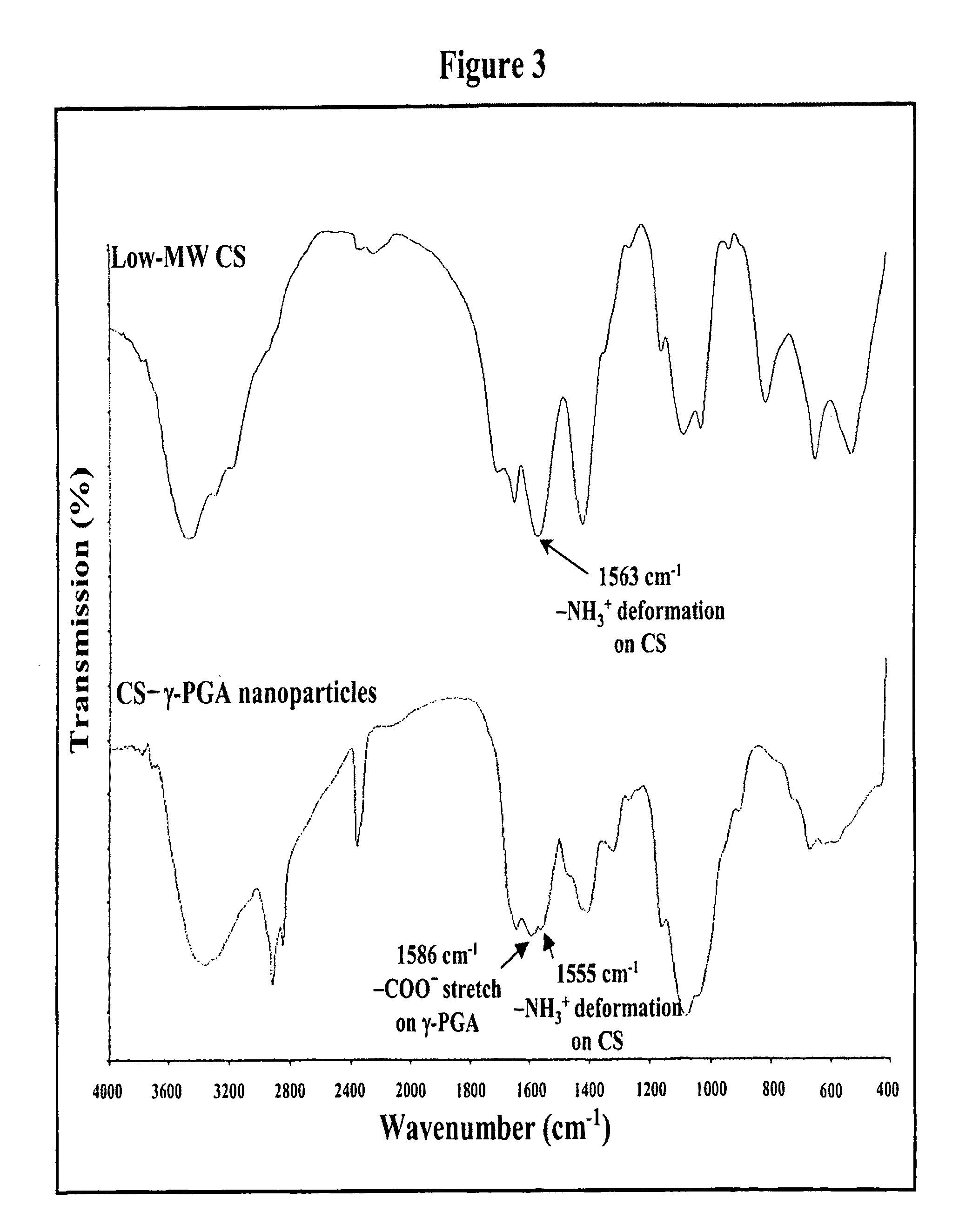 Pharmaceutical composition of nanoparticles for protein drug delivery