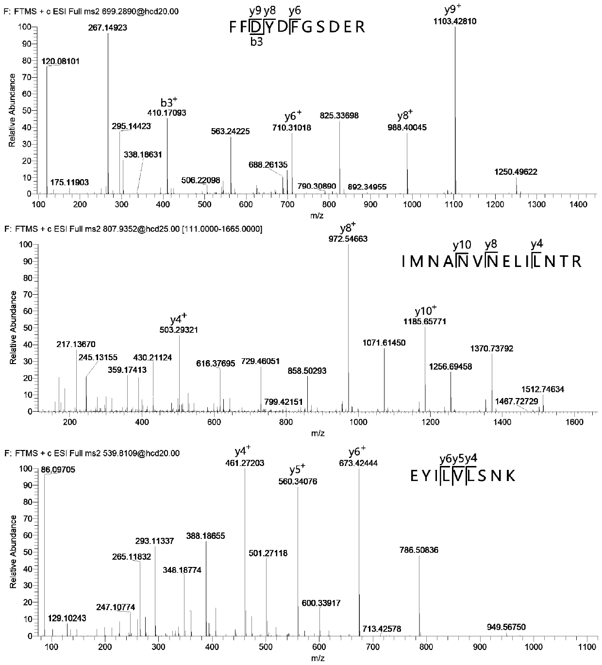 Method for measuring content of apis mellifera MRJP1 protein in honey by using liquid chromatography-tandem mass spectrometry