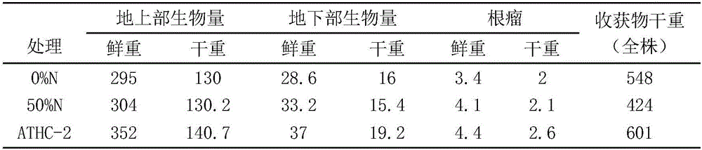 Low-temperature phosphate solubilization Sinorhizobium fredii and inoculant thereof