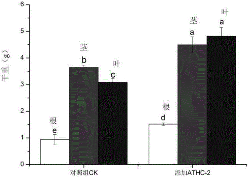 Low-temperature phosphate solubilization Sinorhizobium fredii and inoculant thereof