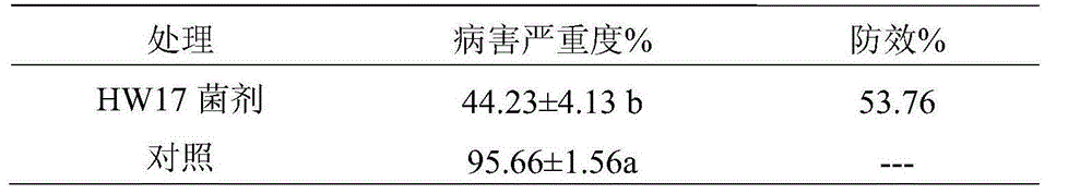 Biocontrol strain HW17 for preventing and treating cucumber green mottle mosaic viruses and application of biocontrol strain HW17