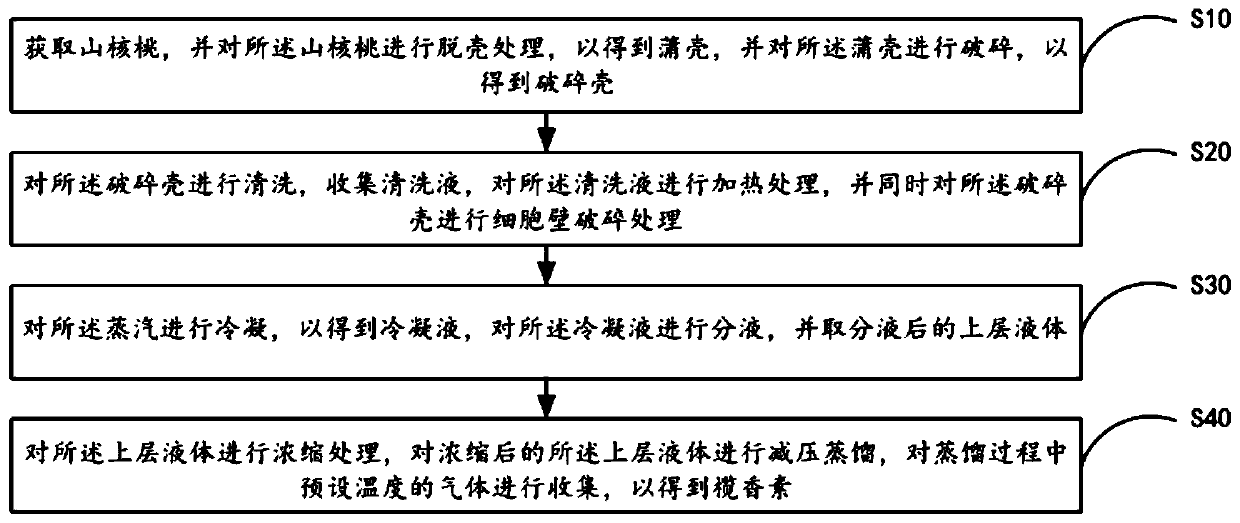 Elemicin extraction method and system