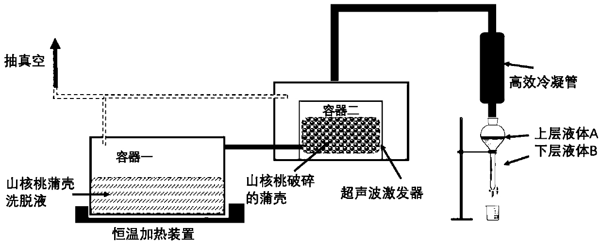 Elemicin extraction method and system