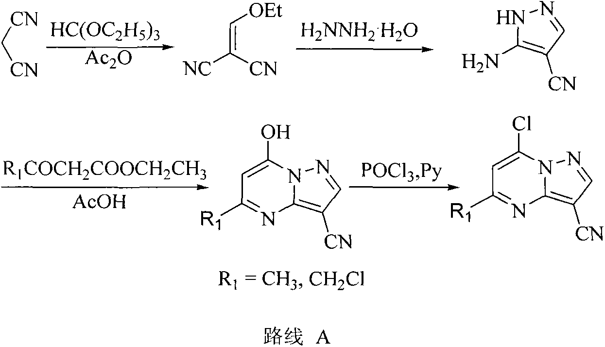 Pyrazolo[1,5-alpha] pyrimidine nitrogen mustard derivatives, preparation methods of pyrazolo[1,5-alpha] pyrimidine nitrogen mustard derivatives, and application of pyrazolo[1,5-alpha] pyrimidine nitrogen mustard derivatives in oncotherapy