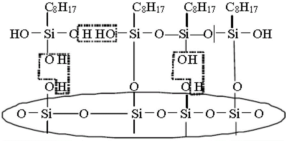 A kind of permeable transparent concrete protective coating and preparation method thereof