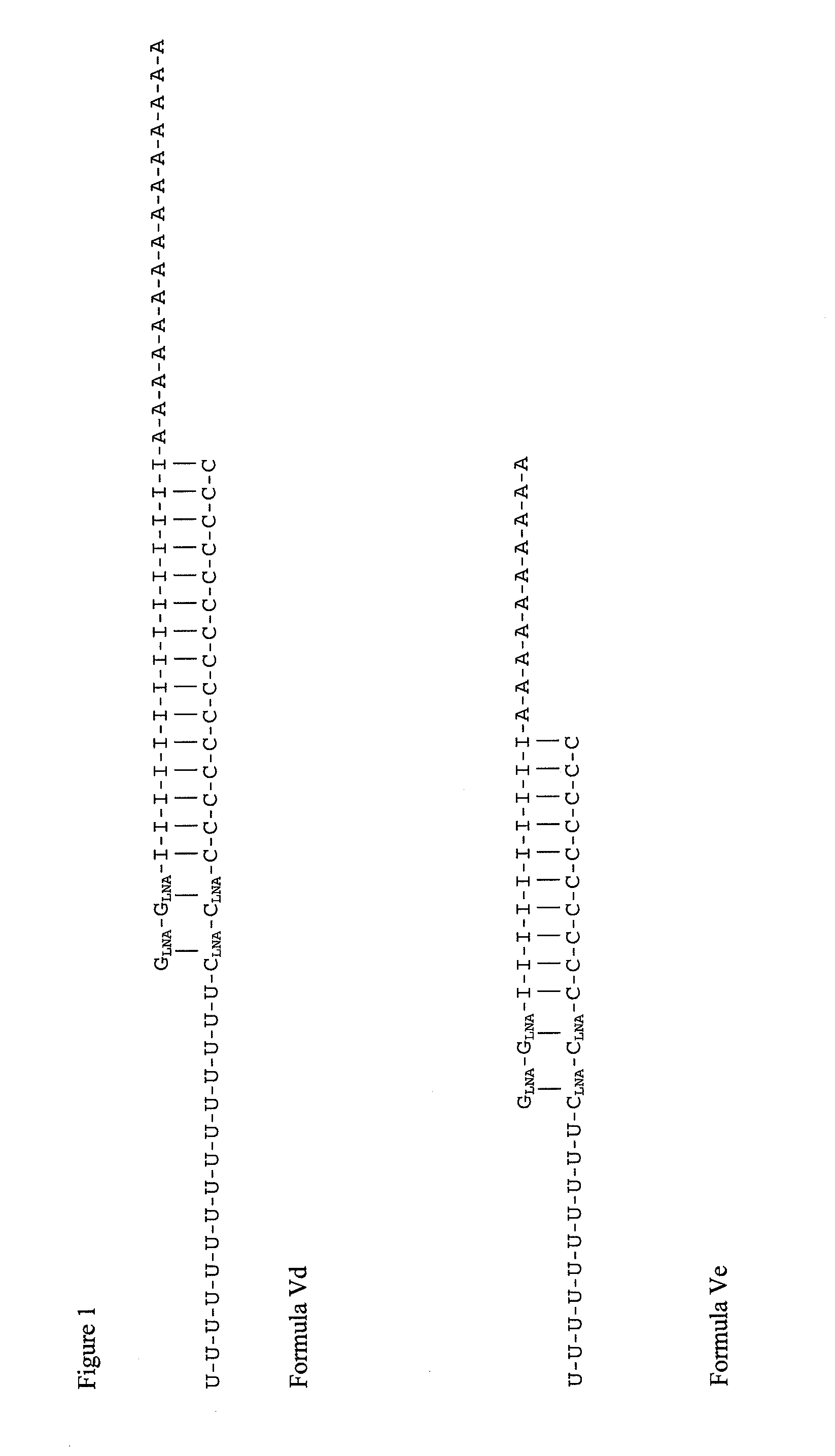 Double-stranded locked nucleic acid compositions