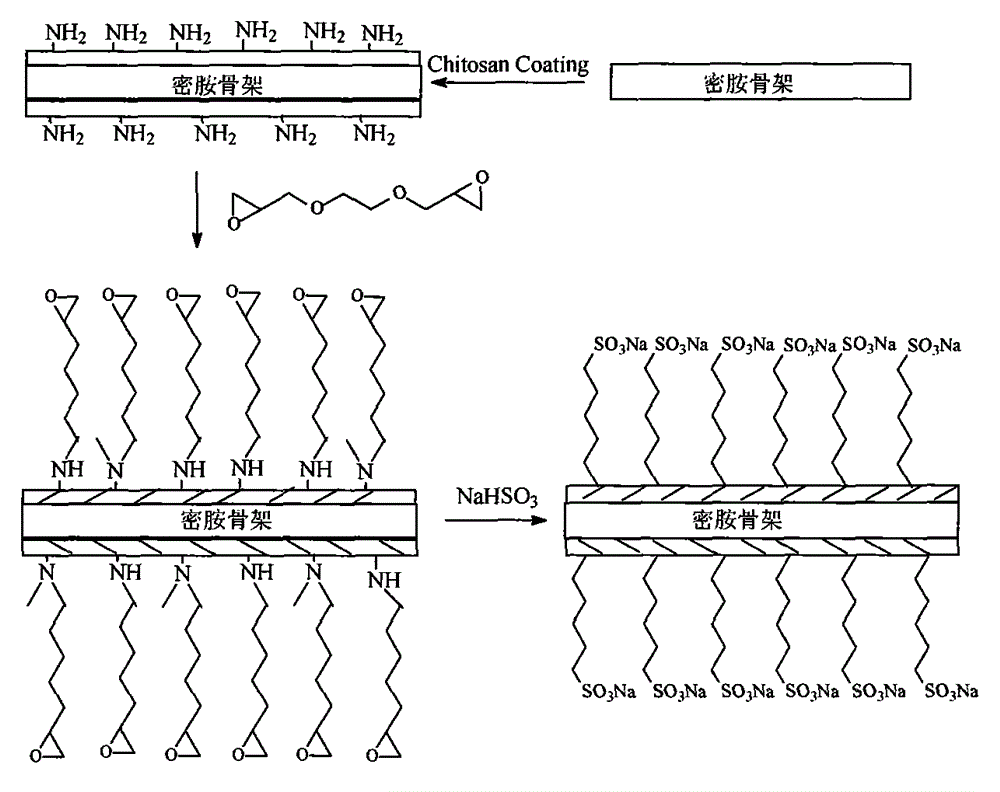 Ionized skeleton polymer capable of clearing particulate pollution and preparation method of ionized skeleton polymer