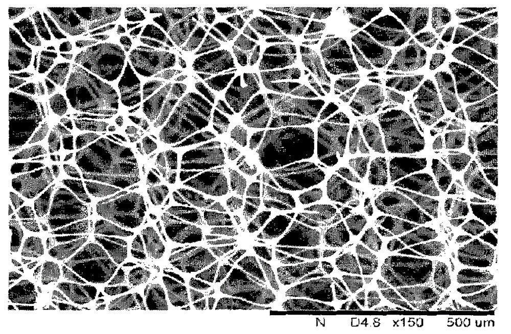 Ionized skeleton polymer capable of clearing particulate pollution and preparation method of ionized skeleton polymer