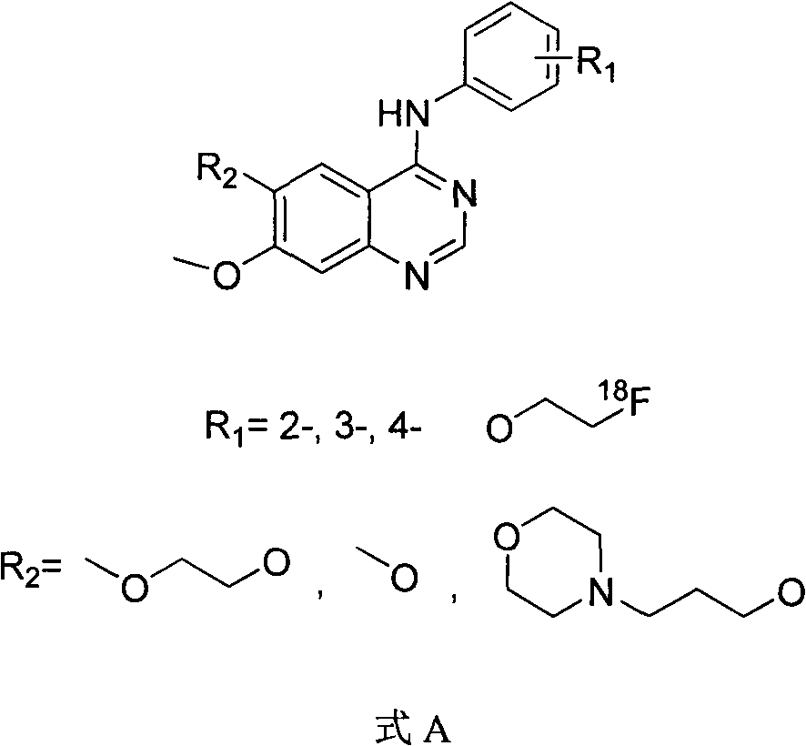 Novel 18f-labeled substituted quinazoline compounds and their preparation methods and tumor pet imaging applications