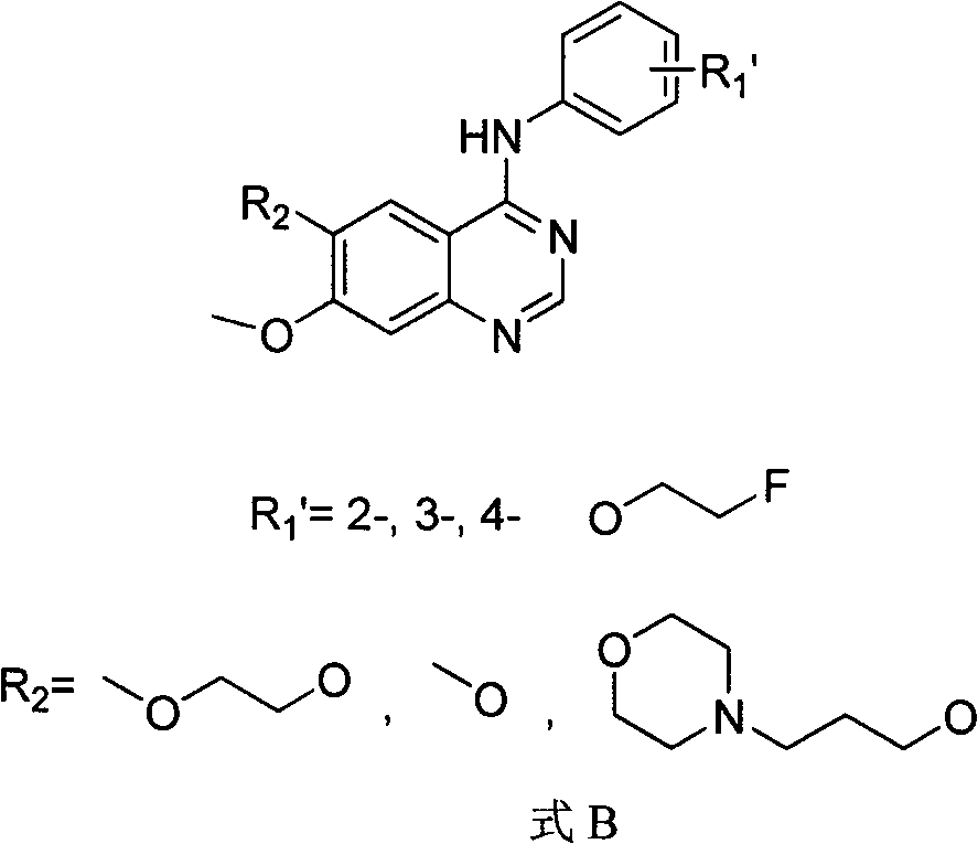 Novel 18f-labeled substituted quinazoline compounds and their preparation methods and tumor pet imaging applications