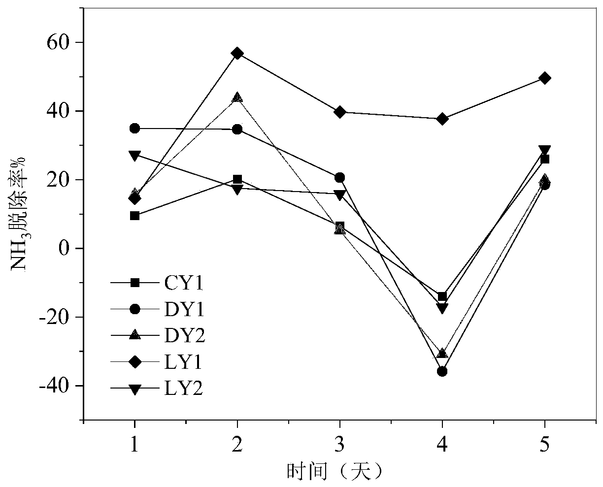 Sporosarcina strain and application thereof in deodorization of livestock and poultry manure