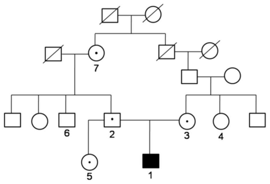 A kind of mutant of caii and its application