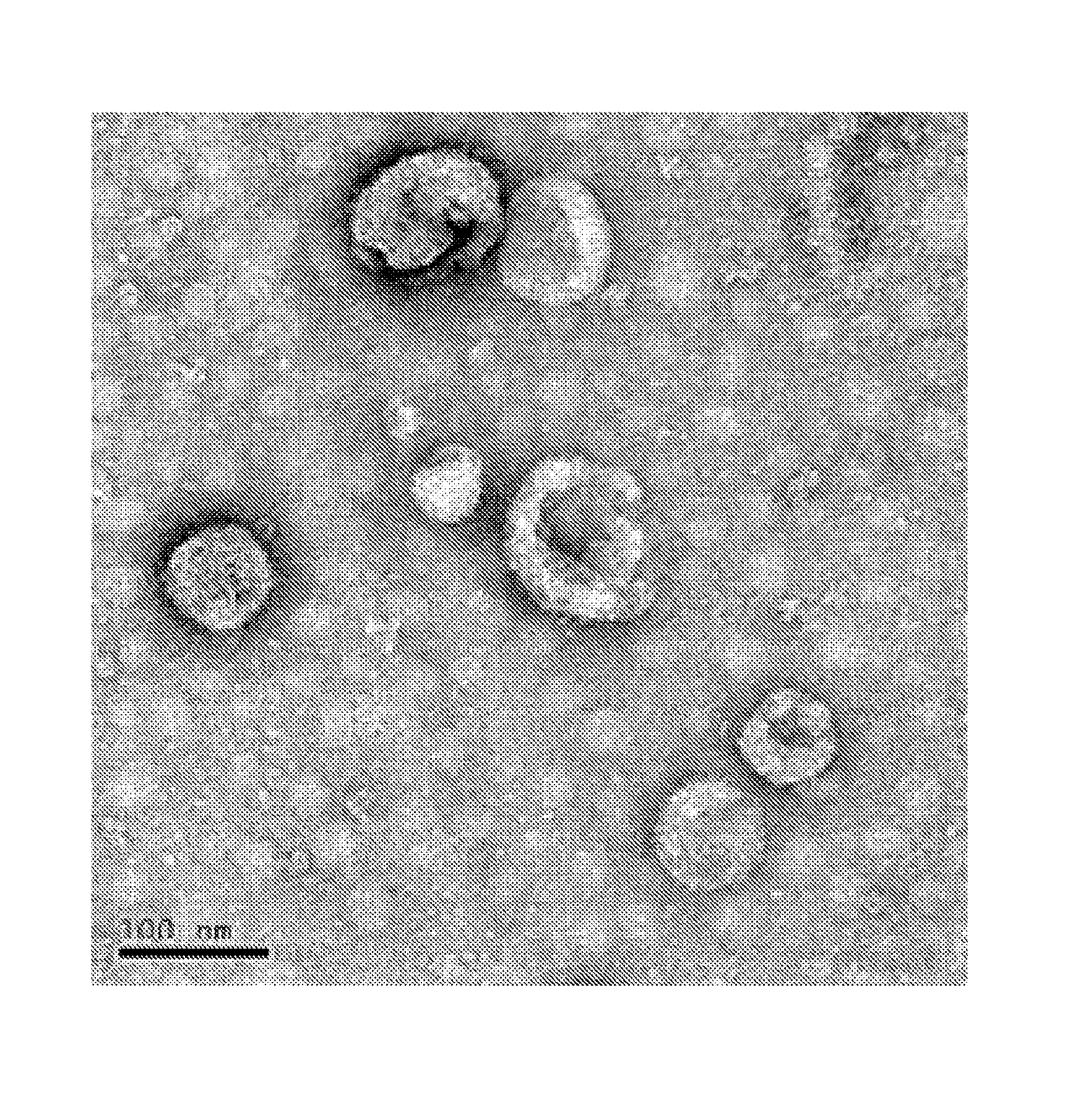 Antigen composition, preparation method and use thereof, and tumor vaccine