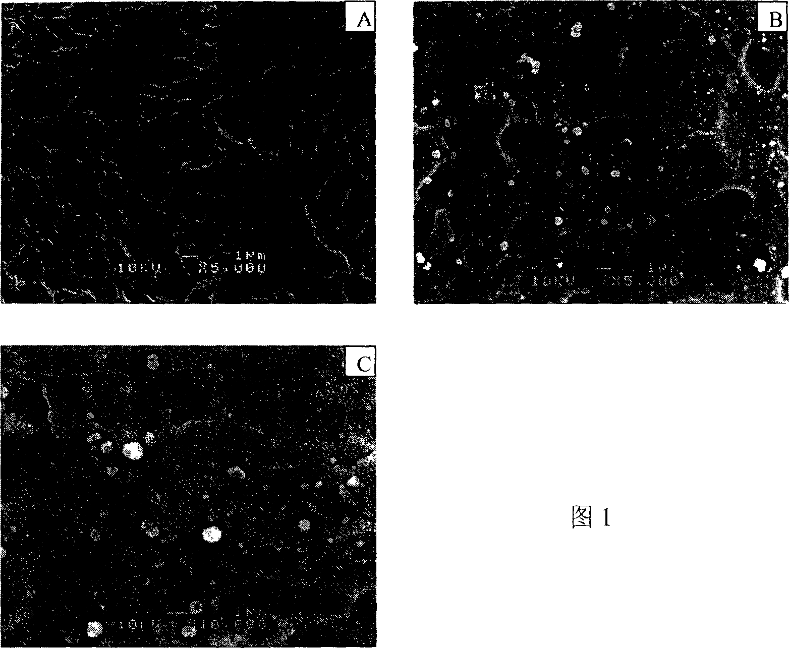 Surface activating method of medical metal material