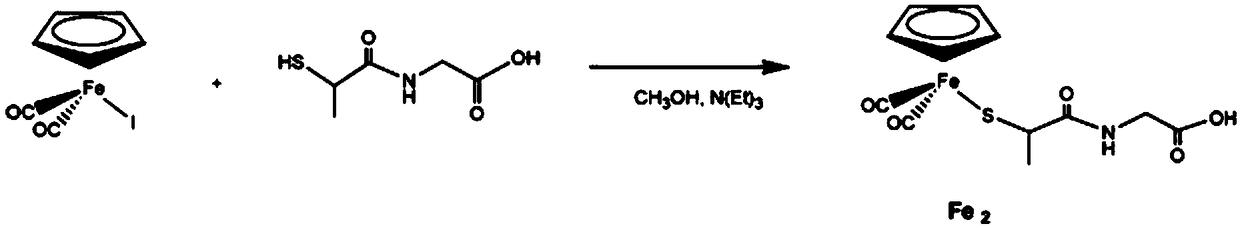 Aqueous iron carbonyl compound as well as preparation method and application thereof