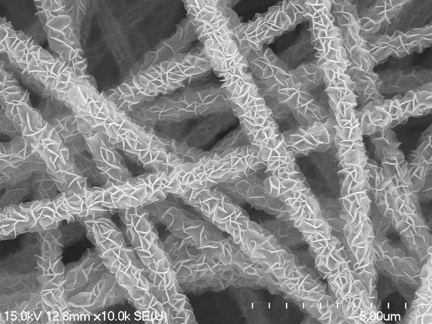 Application of tin disulfide/carbon nanofiber composite material in degradation of organic pollutants