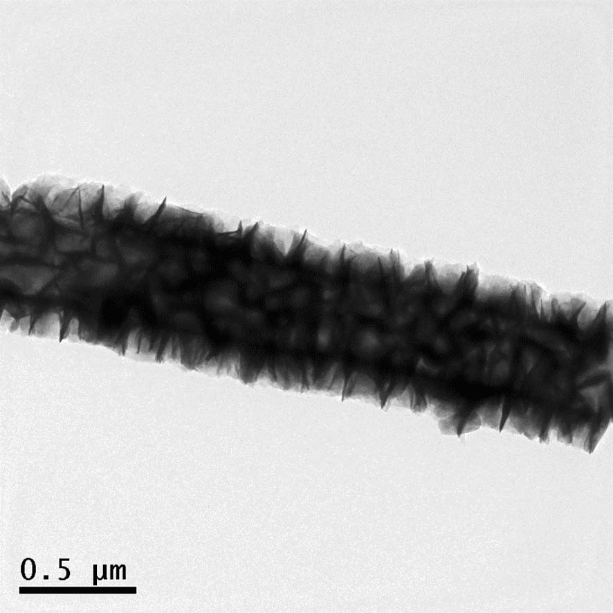 Application of tin disulfide/carbon nanofiber composite material in degradation of organic pollutants