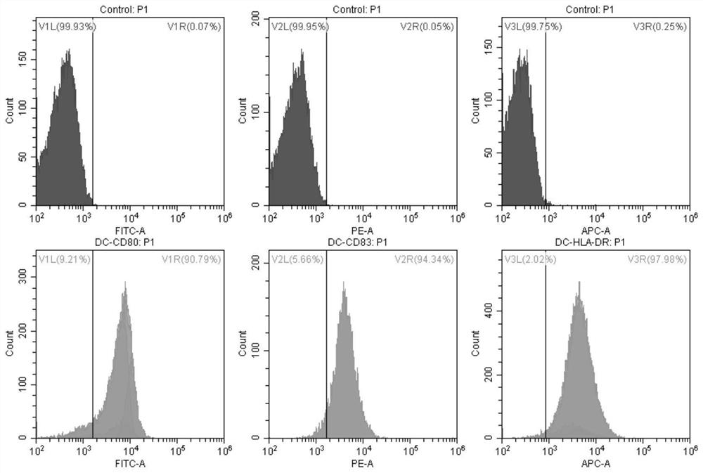 A preparation method of CTL targeting multiple epitopes of glioblastoma