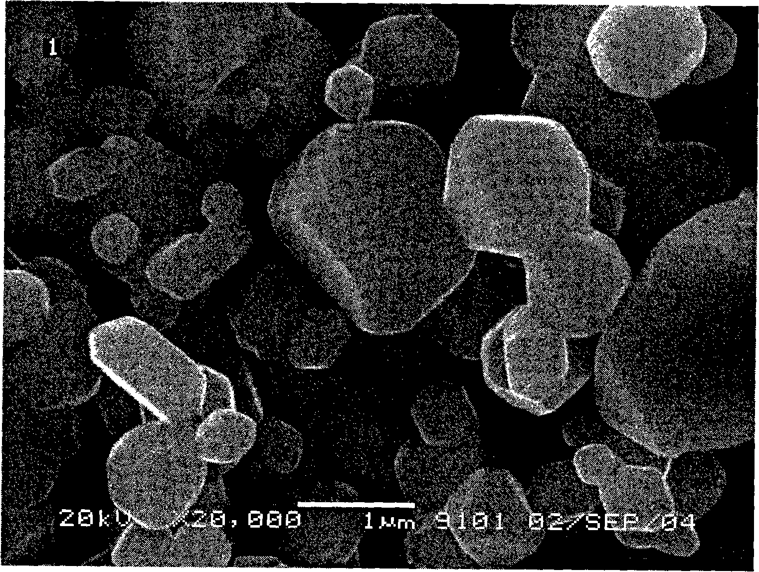 Method and apparatus for preparing high-intensity cobaltic-cobaltous oxide power