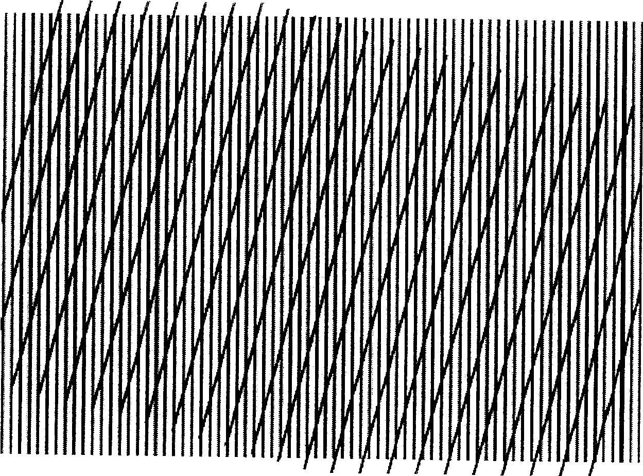 Stereo display device without moire patterns