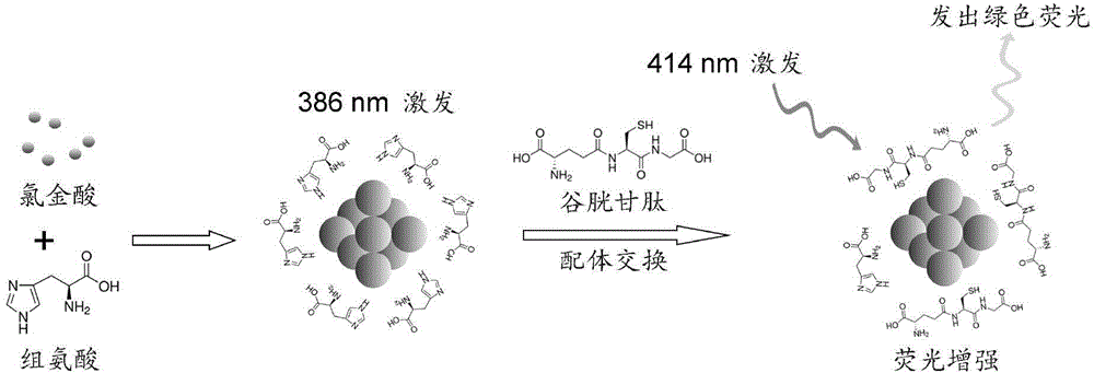 Application of gold nanocluster as glutathione fluorescent probe