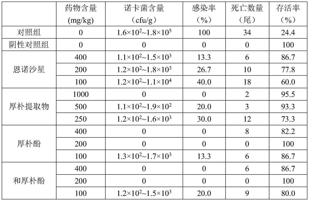 Medicine for preventing and treating nocardia disease and application thereof