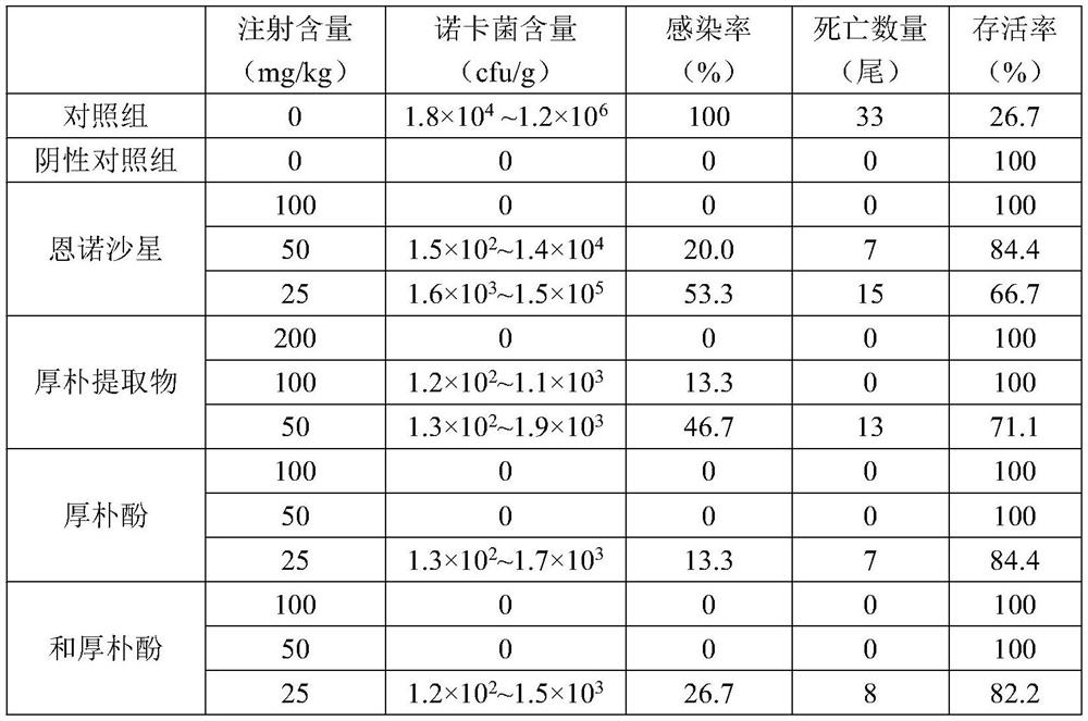 Medicine for preventing and treating nocardia disease and application thereof