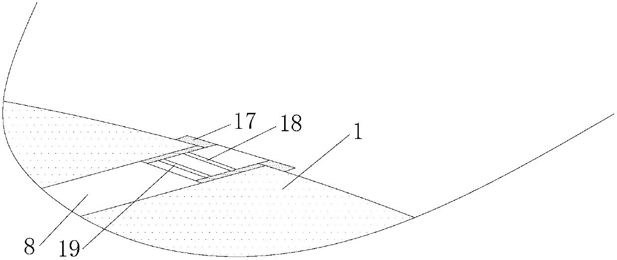 Wing protection plate of motorcycle