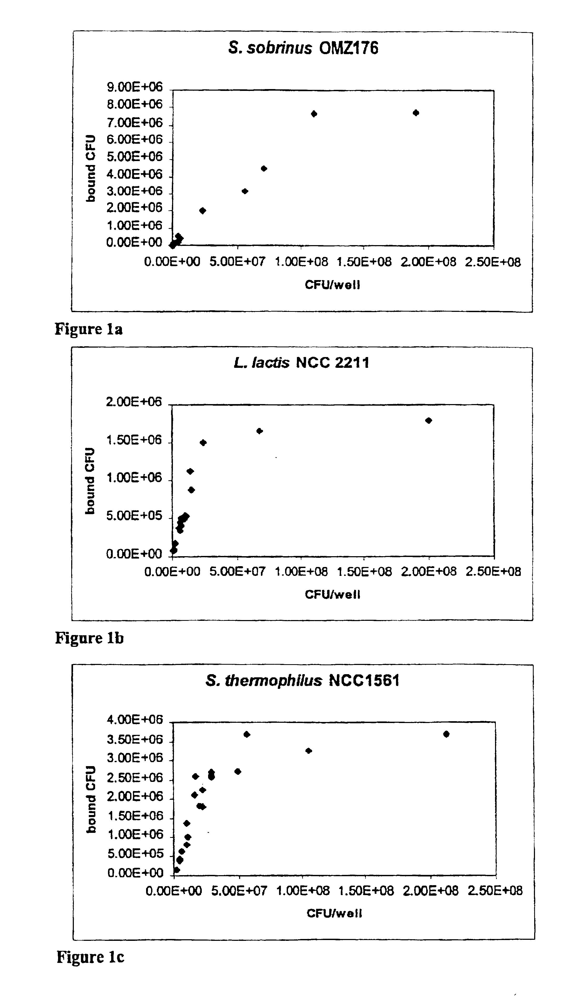 Incorporation of exogenous lactic bacteria into the oral microflora