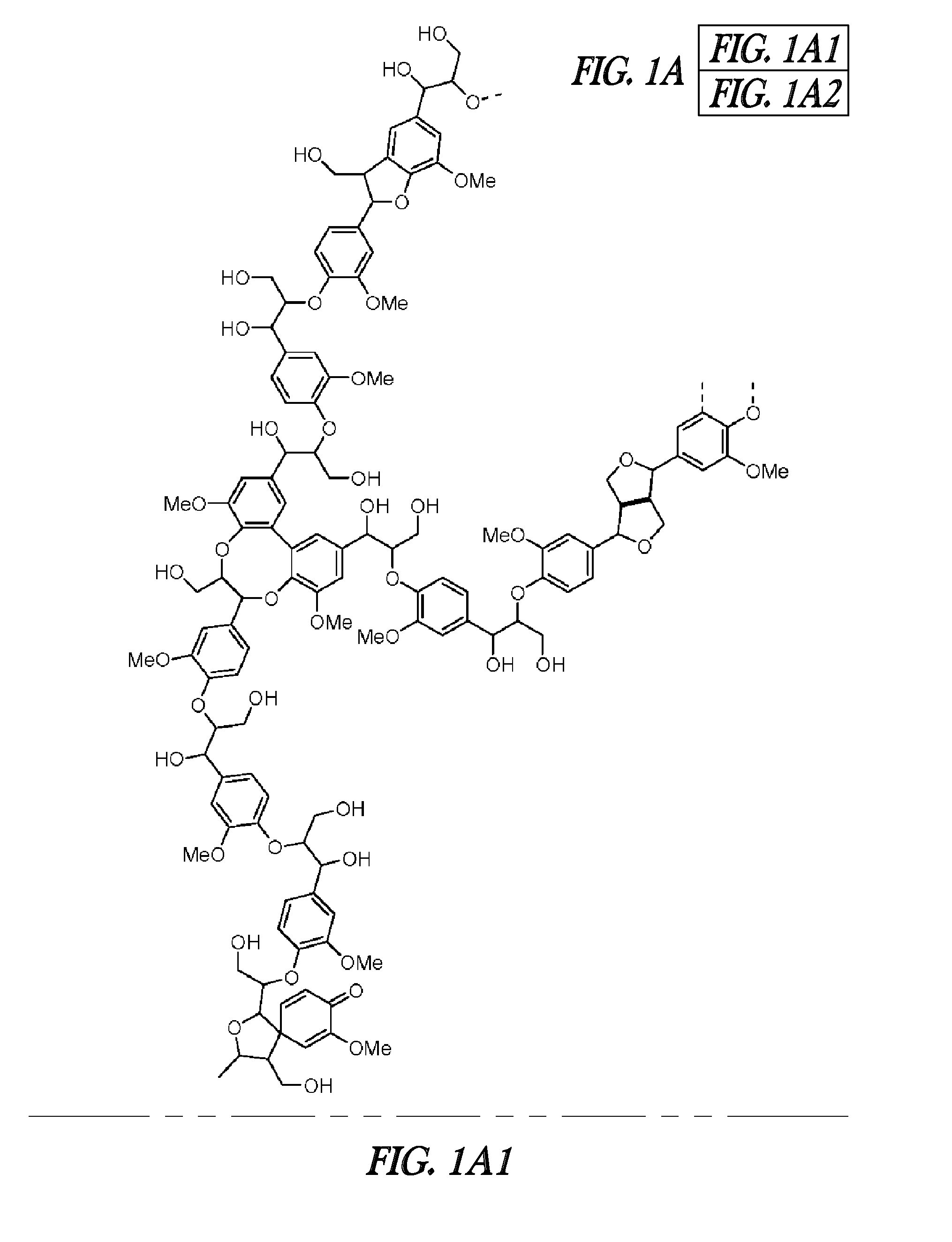 FERULOYL-CoA:MONOLIGNOL TRANSFERASE