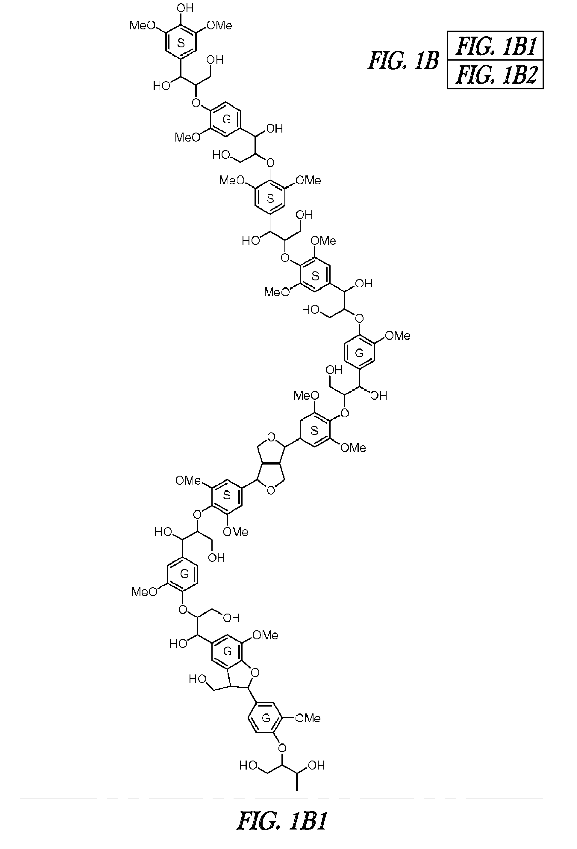 FERULOYL-CoA:MONOLIGNOL TRANSFERASE