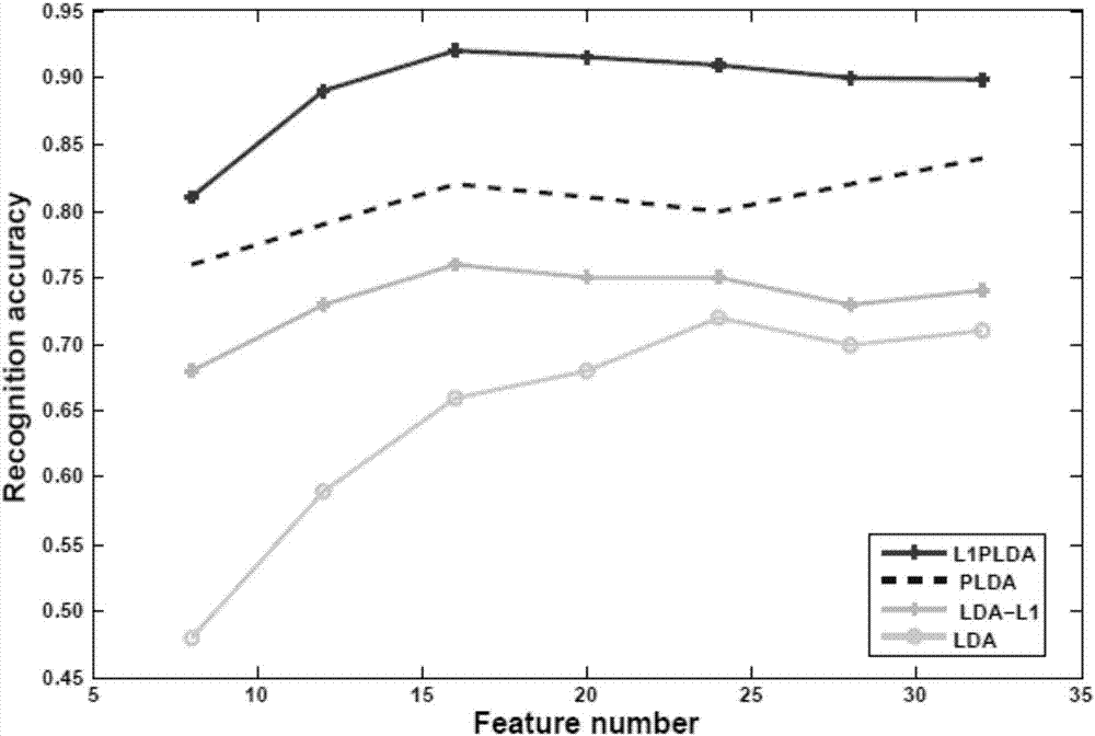 Probability linear discriminant analysis image classification method based on L1 bound norm