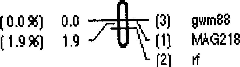 Wheat fertility recovery gene molecular mark and its obtaining method