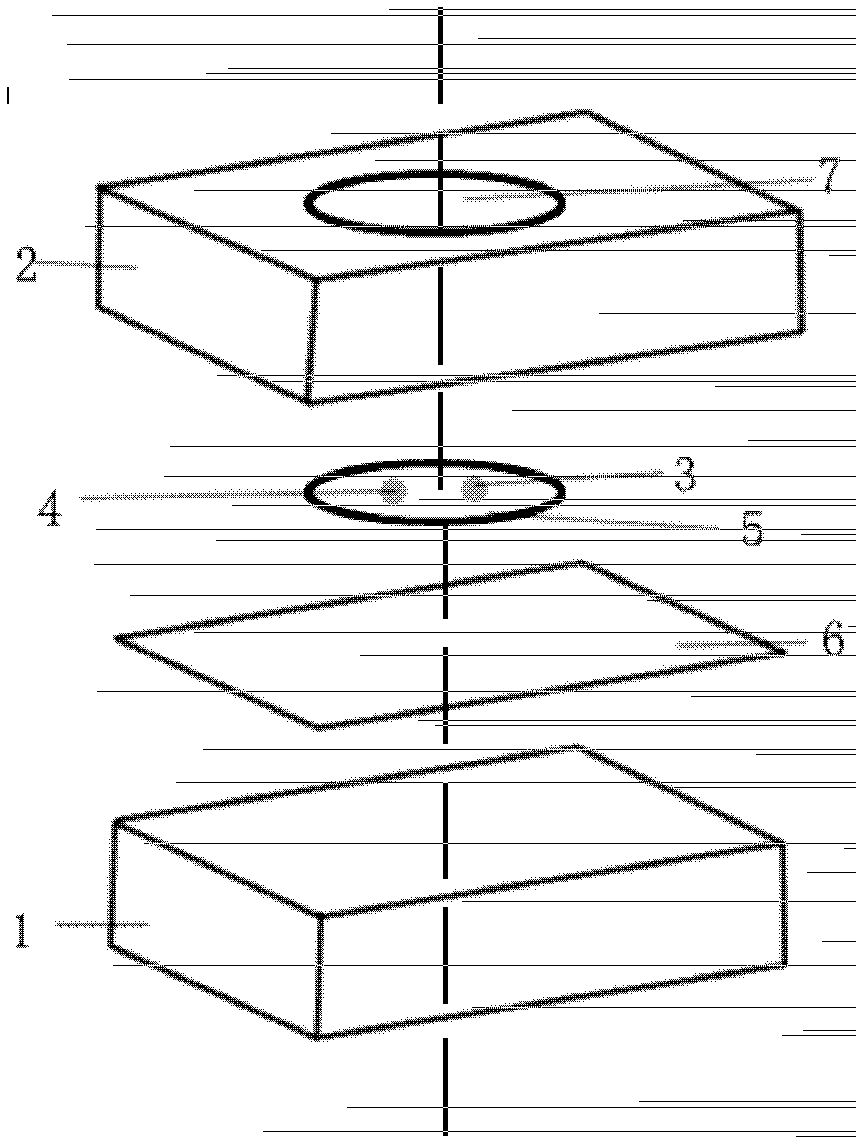 Echinococcus multilocularis circulating antigen dot immunogold filtration kit and preparation method